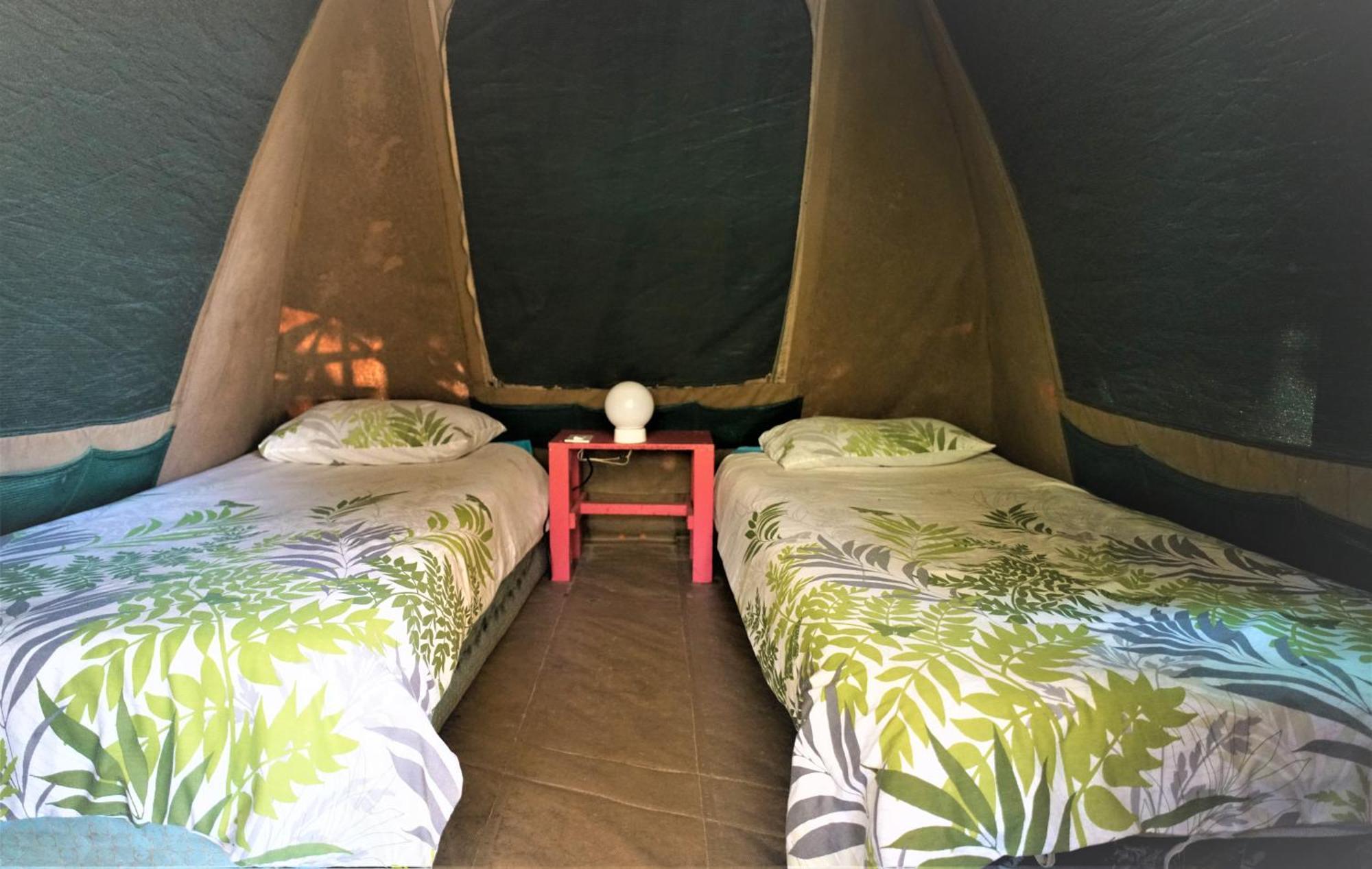 Hazyview Adventure Backpackers Hostel Buitenkant foto